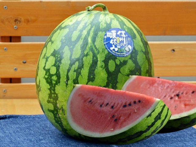 信州の匠 スイカ通販