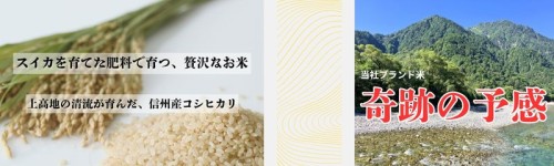 お米の通販始めました。